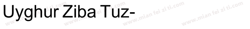 Uyghur Ziba Tuz字体转换